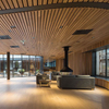 C-Shaped Aluminum Decorative Metal Linear Ceiling/strip ceiling